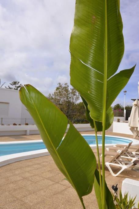 Apartamento Lapa ティアス エクステリア 写真